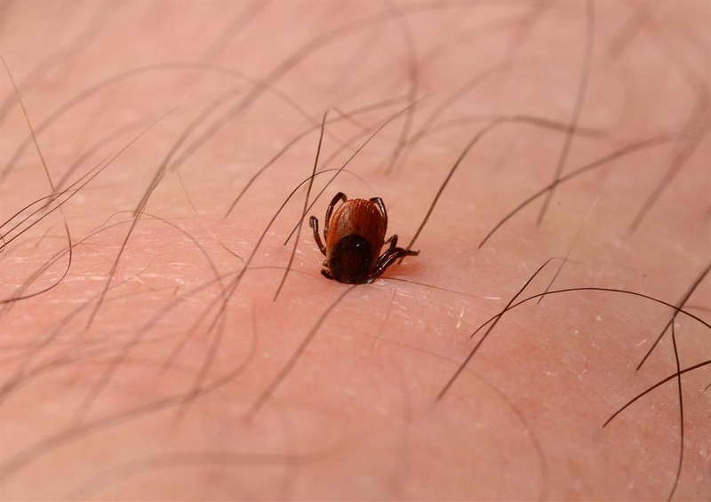 Illustration for article titled These Close-Up Views Of Nature And Technology Are Simply Awe-Inspiring